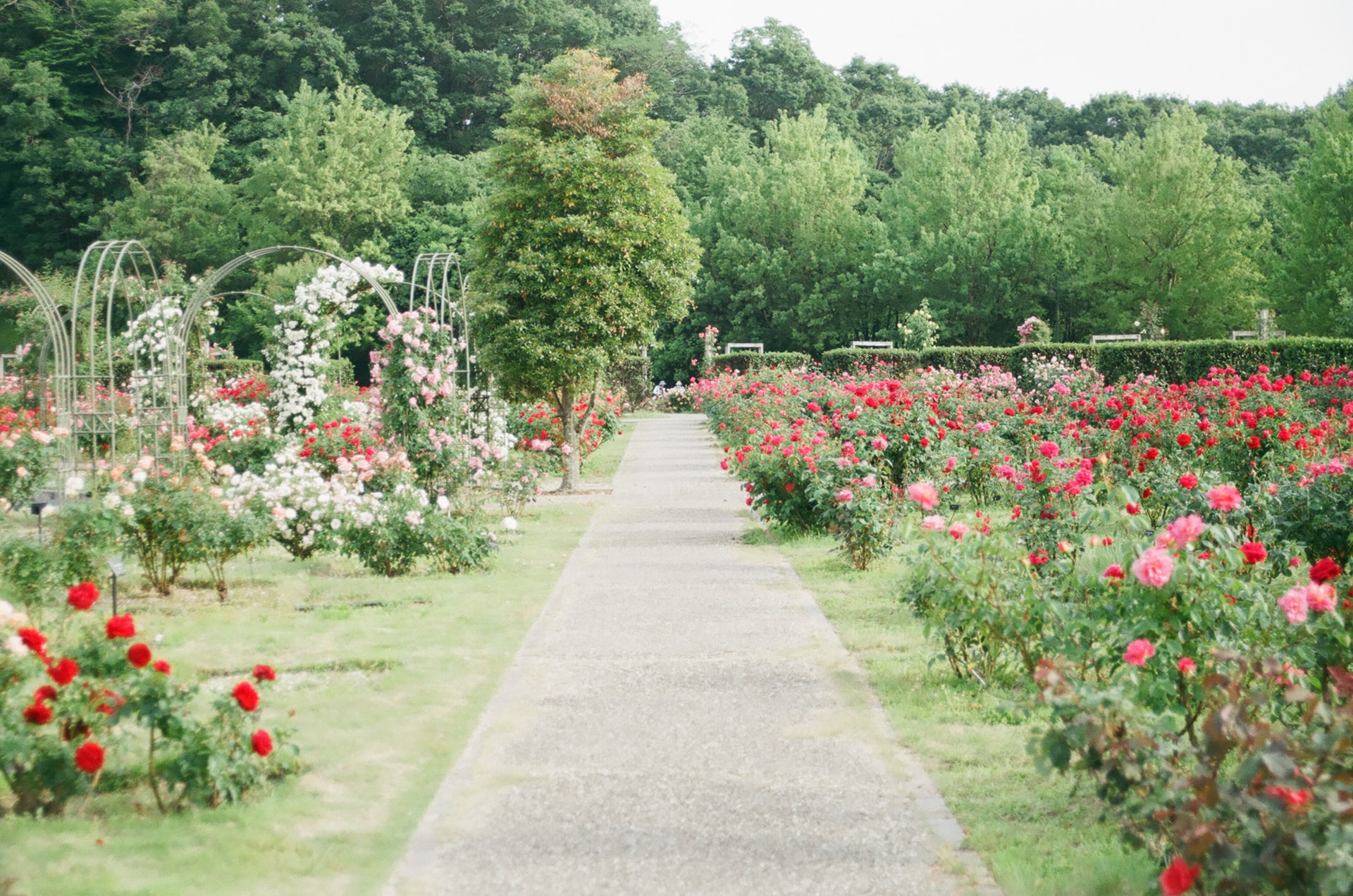 Jardin du souvenir